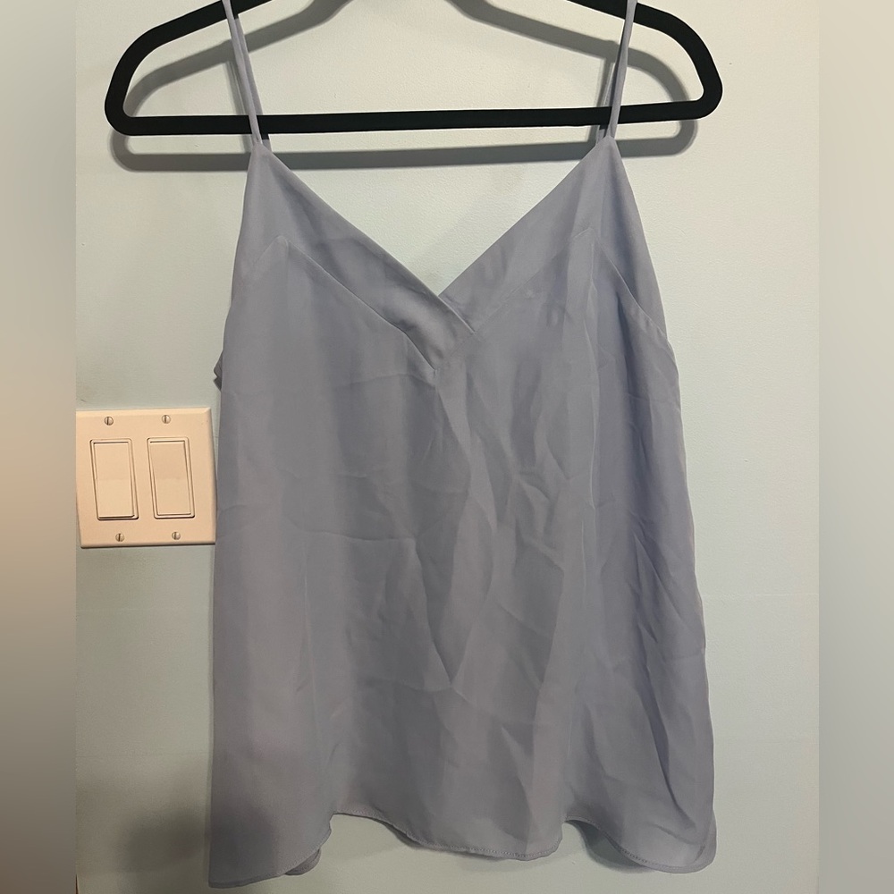 Light Blue Naked Zebra Satin Top